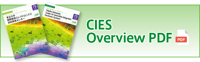 CIES Overview PDF