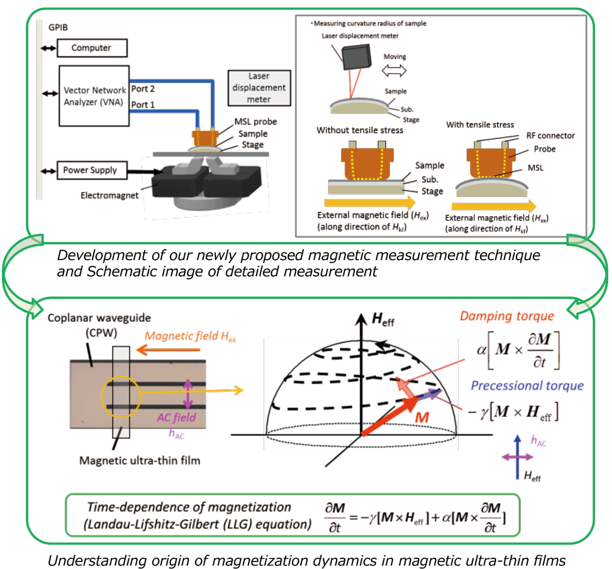 Study on magnetization dynamics of Co amorphous magnetic ultra-thin film