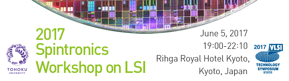 2017 Spintronics Workshop on LSI