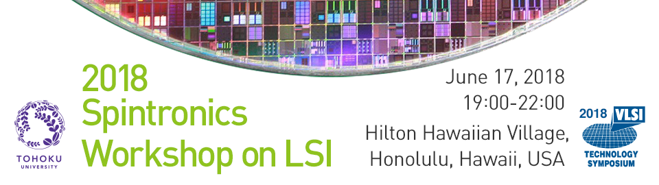 2018 Spintronics Workshop on LSI