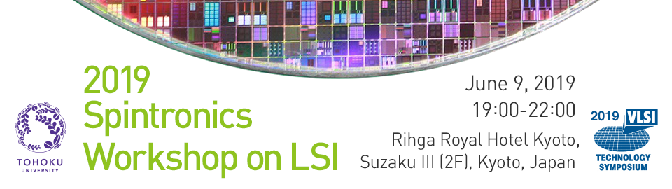 2019 Spintronics Workshop on LSI