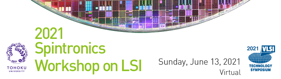 2021 Spintronics Workshop on LSI