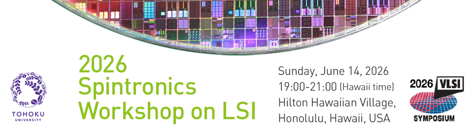 2026 Spintronics Workshop on LSI
