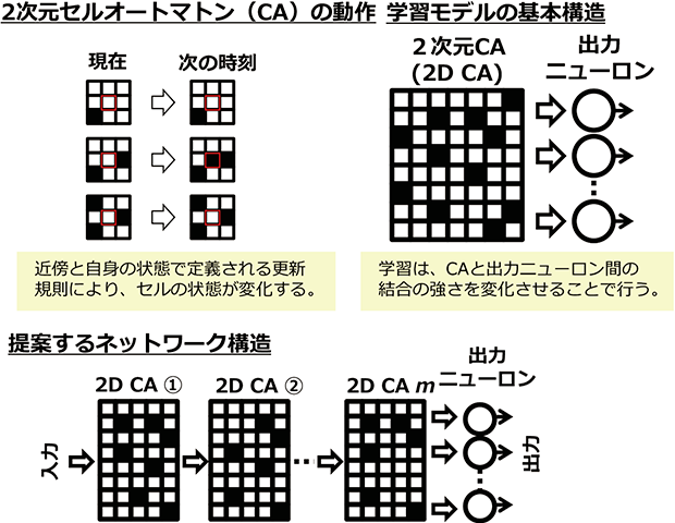 セルオートマトン（CA）構造とニューロンを組み合わせたネットワークを多層化したモデル