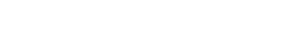 INS - International Conference on Nanoelectronics Strategy