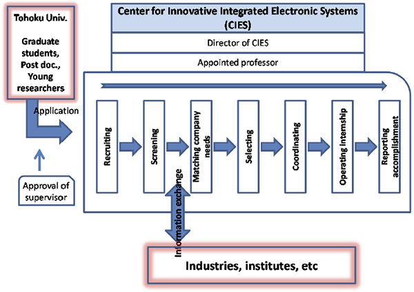 Internship system