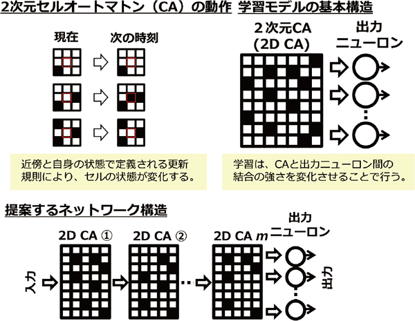 Cセルオートマトン（CA）構造とニューロンを組み合わせたネットワークを多層化したモデル